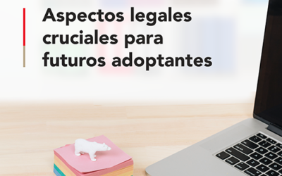 Aspectos legales cruciales para futuros adoptantes